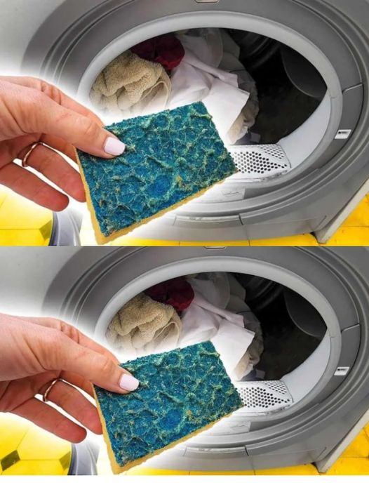Throw a dishwashing sponge into the washing machine: the magic trick that solves a common problem