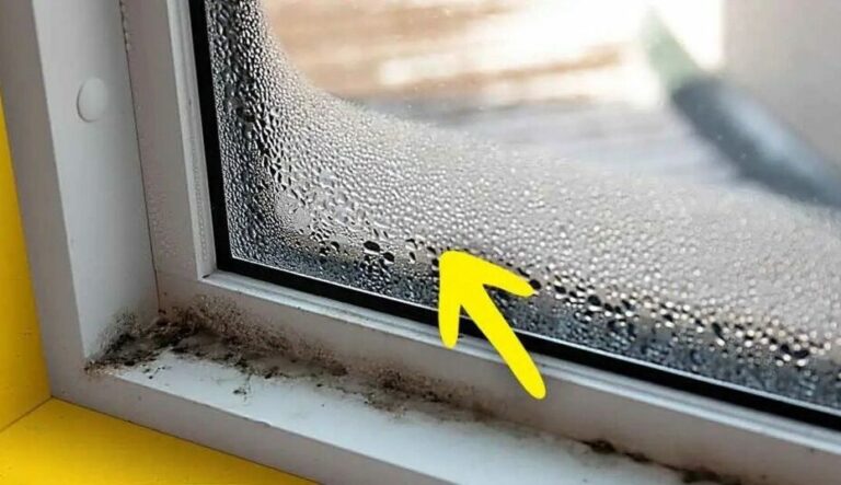 How do I remove moisture from the house? 7 simple tricks