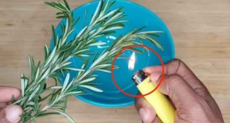 Burn 1 sprig of rosemary at home and see what happens after 10 minutes