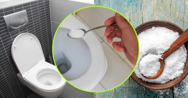 Pour some salt into the toilet: what happens will leave you speechless