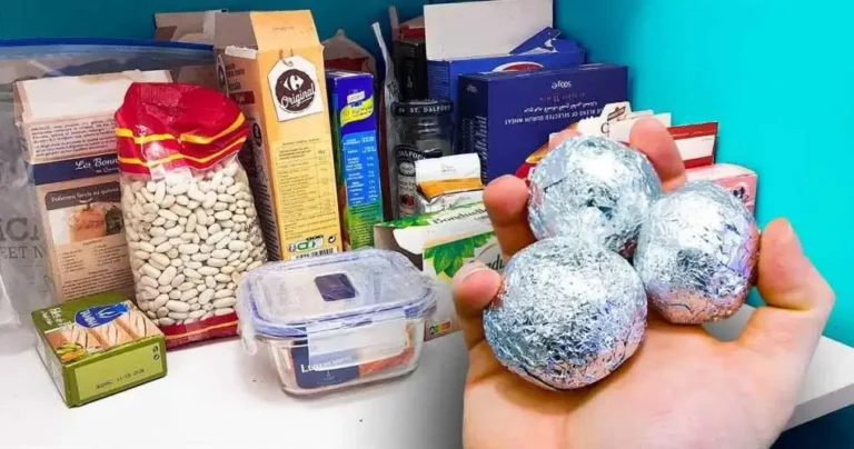 Put a ball of aluminum foil in the pantry: solve an annoying problem forever