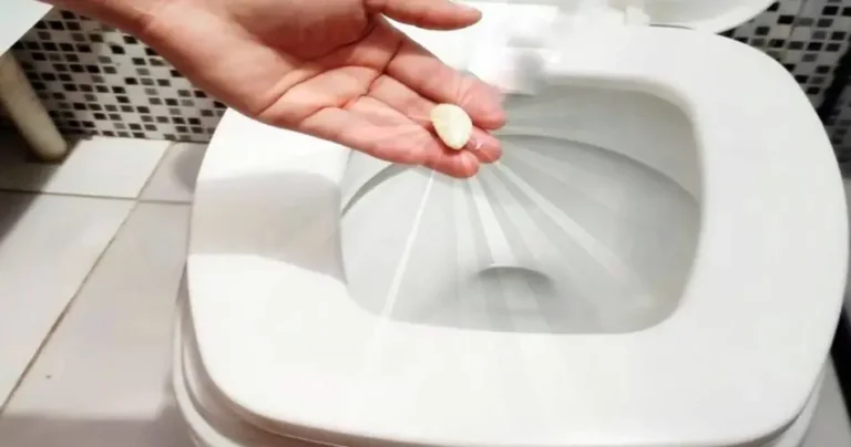 WHY our grandparents used to flush 1 clove of garlic down the toilet