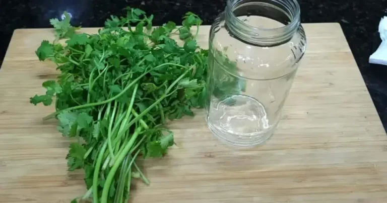 This is how you store parsley and it stays fresh for a year: the chef’s method