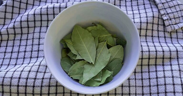 7 things you can do if you have bay leaves at home