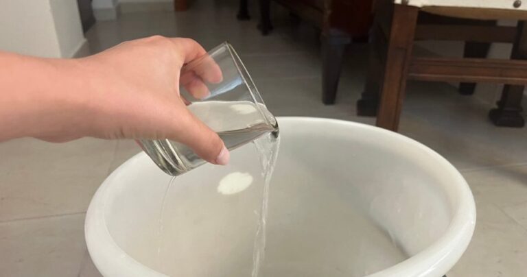 House invaded by cockroaches and cockroaches, how to clean the floor to eliminate them immediately