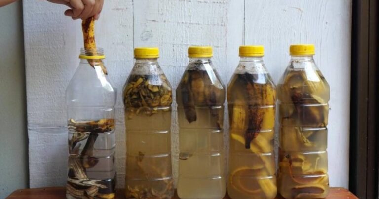 Soak banana peels in 1 bottle of water – what happens moments later