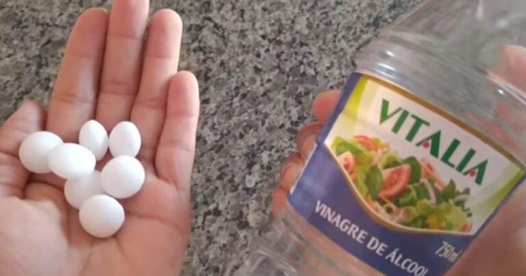 Mothballs and vinegar, what happens when you mix them: the result is unexpected