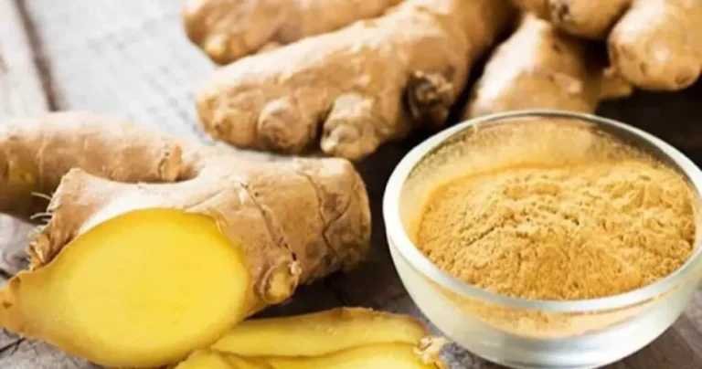 Everyone is growing ginger on the balcony: here’s why and how to do it