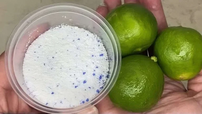 The bathroom never gets dirty and smells constantly with this natural method