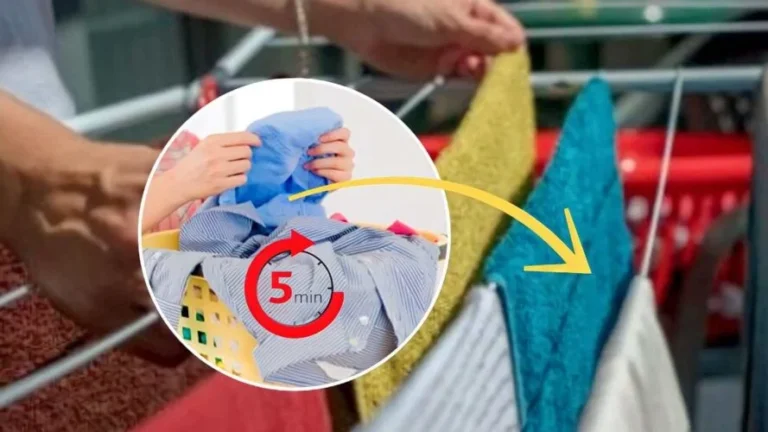 Wet laundry, how to hang clothes to dry in 5 minutes: the ancient method