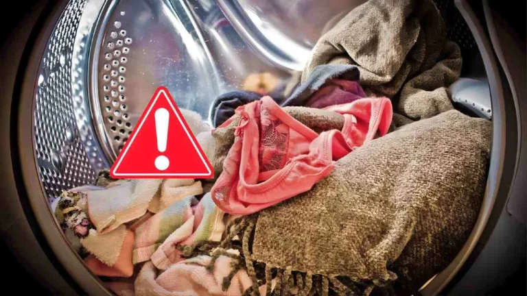 Laundry, what happens to clothes if you leave them in the washing machine all night: unexpected