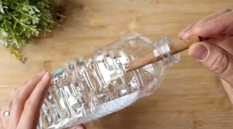 Dip the cinnamon in the white vinegar, you won’t give it up once you see what happens.