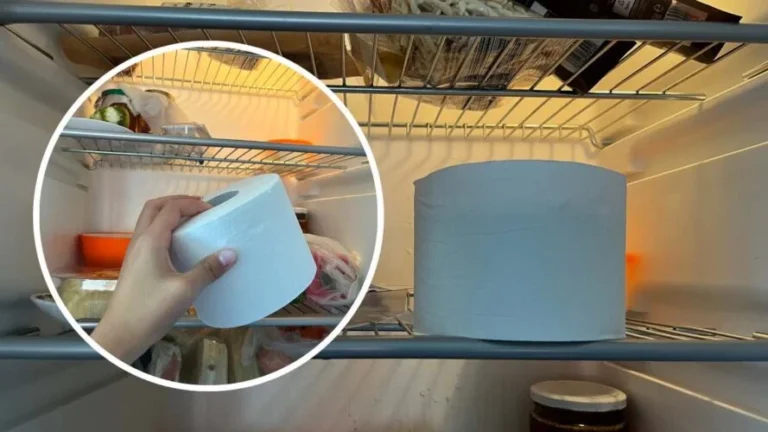 TOILET PAPER, WHY DOES EVERYONE LEAVE IT IN THE FRIDGE? IT MAKES YOU SAVE IN A FEW MINUTES