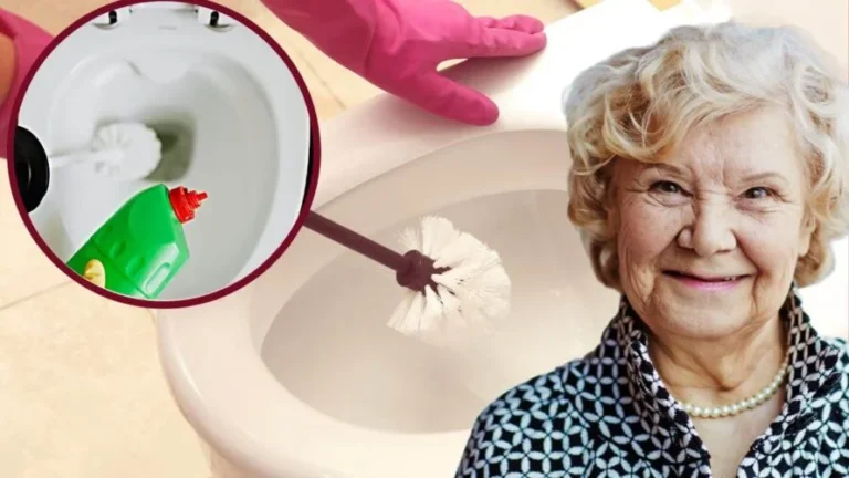 DETERGENT IN THE TOILET, AN ANCIENT GRANDMOTHER’S REMEDY: NEVER SEEN ANYTHING LIKE IT, IT’S SURPRISING
