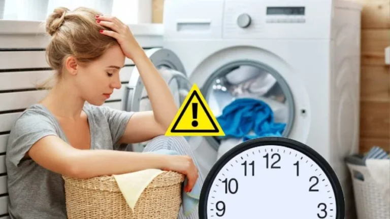 Washing machine, if you use it at this time you could spend up to 800 euros more