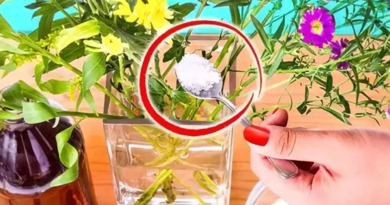 Fresh flowers, the florists’ secret to make them last 30 days without wilting