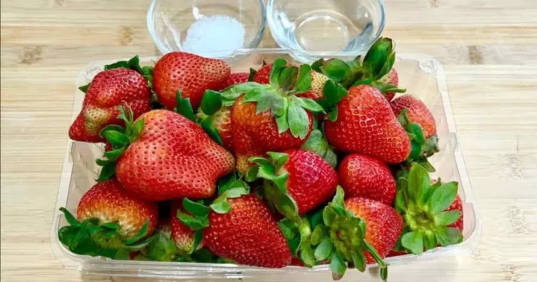 Strawberries full of worms and insects: how to disinfect them easily at no cost