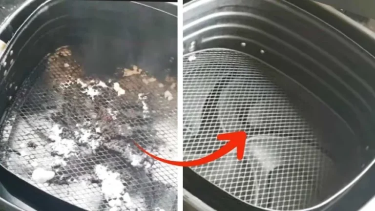 DIRTY AIR FRYER, 1 INGREDIENT IS ENOUGH TO CLEAN IT PERFECTLY