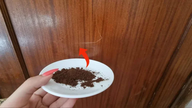 SCRATCHES ON WOODEN DOORS, HOW TO FIX IT IN AN INSTANT: YOU WILL NEVER SEE THEM AGAIN