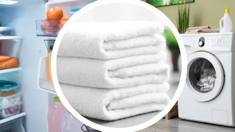 VERY WHITE CLOTHES WITH THIS BELOVED INGREDIENT, TO KEEP IN THE KITCHEN: EXTRAORDINARY LAUNDRY