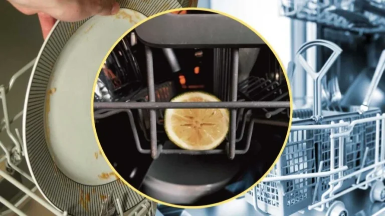 LEMON IN THE DISHWASHER, LEAVE IT IN EVERY WASH: A VERY SIMPLE GESTURE THAT SAVES YOUR SKIN