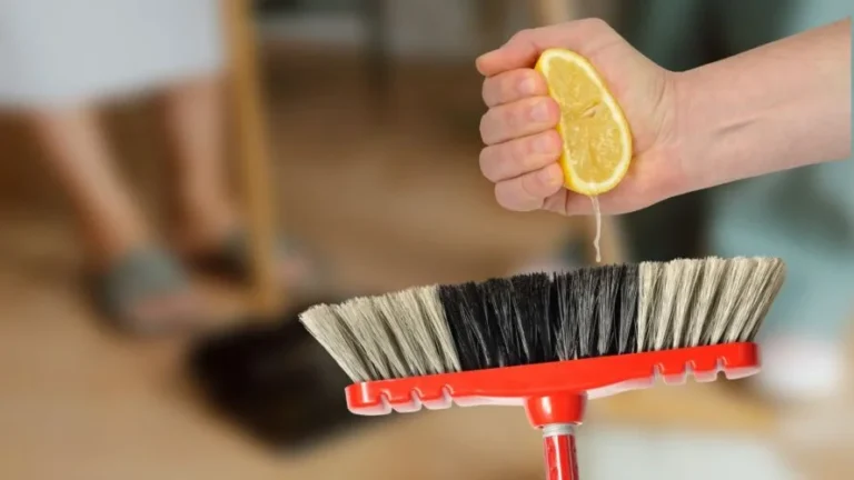 LEMON ON THE BROOM, INCREDIBLE: HERE’S WHY YOU SHOULD START DOING IT | UNIMAGINABLE