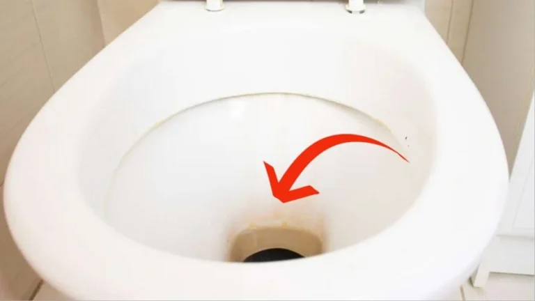 Goodbye urine stains from the toilet, how to remove them quickly and naturally