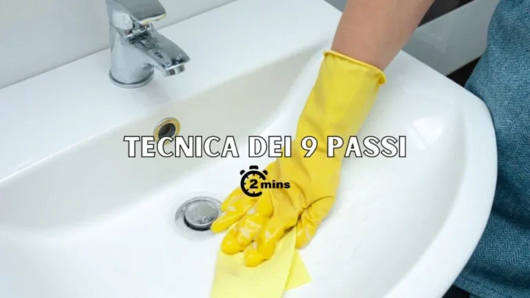 THE 9-STEP TECHNIQUE TO CLEAN THE BATHROOM IN TWO MINUTES: THE CHINESE METHOD