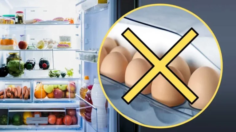 LEAVING EGGS IN THE FRIDGE DOOR IS A VERY WRONG MOVE: GREAT RISKS