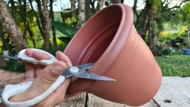 Old plastic pots for plants, recycle them this way: you won’t regret it