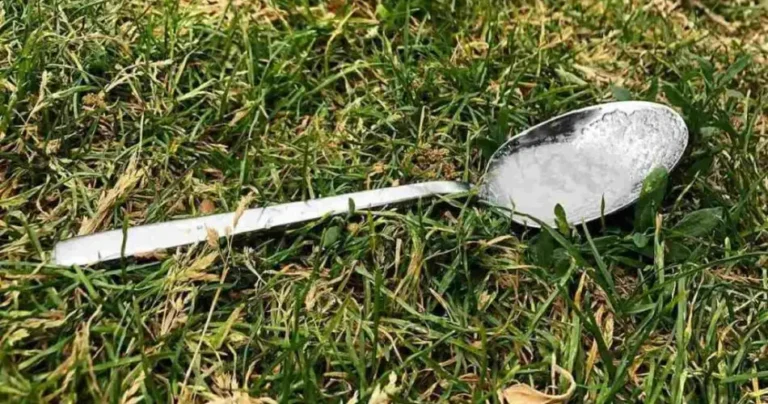 A spoonful of sugar in the garden and you will never stop doing it: the reason