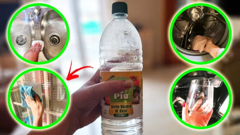 ONE BOTTLE OF ALCOHOL VINEGAR IS ENOUGH TO DO ALL THESE CLEANINGS IN THE HOUSE