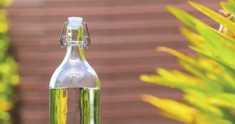 3 uses of white vinegar at home that no one knew yet, “absurd!”