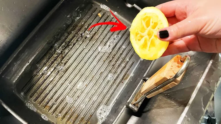 HOW TO CLEAN A ENCRUSTED GRILL PAN WITH 4+1 HOME TRICKS