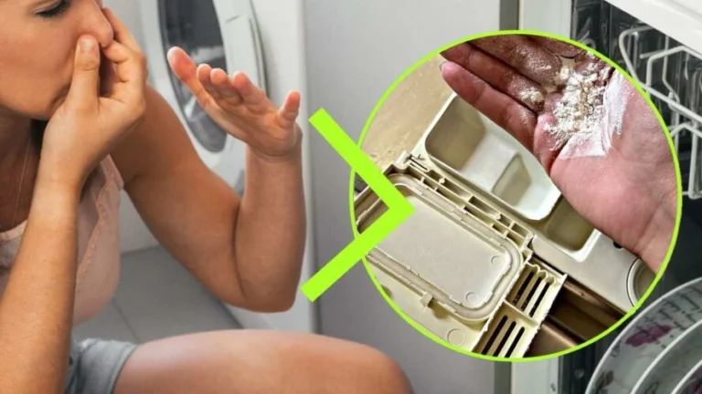GOODBYE BAD ODORS FROM THE DISHWASHER, A HANDFUL IS ENOUGH: THE VERY POWERFUL NATURAL REMEDY