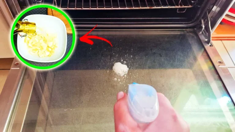 HOW TO MAKE AN OVEN DEGREASER THAT REMOVES ALL THE DIRT