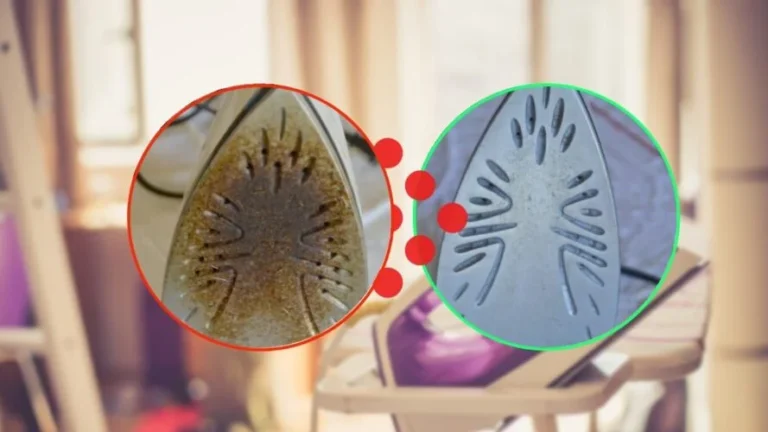 BURNED IRON, IT TAKES A MOMENT TO CLEAN IT: THESE 2 INGREDIENTS ARE ENOUGH