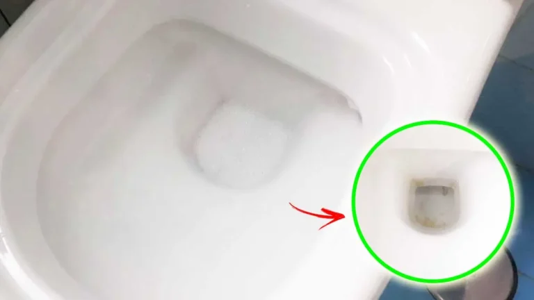 HOW TO REMOVE DARK ENCROSTATIONS FROM THE BOTTOM OF THE TOILET