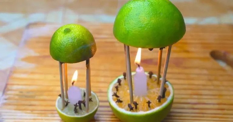 With this remedy you will not only perfume your home, but the mosquitoes will never return