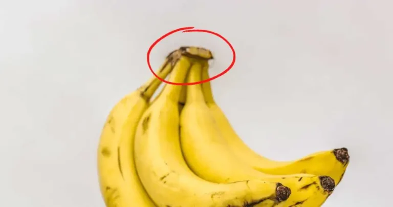 Never throw away this part of the bananas: that’s why it’s worth gold in the house