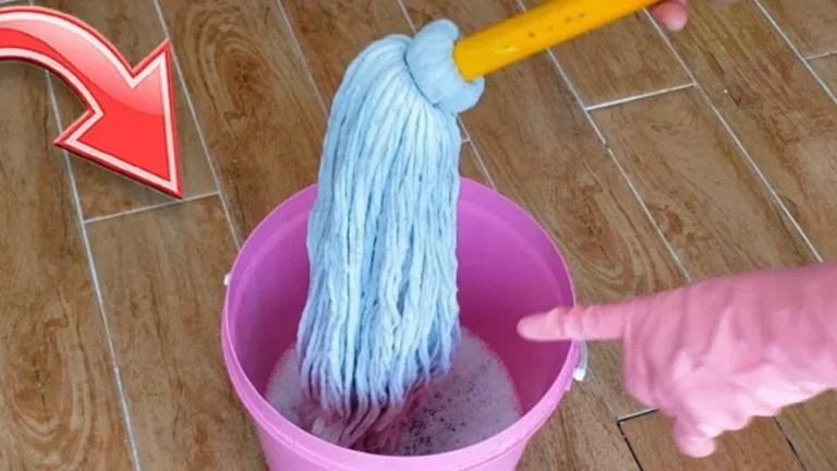ELIMINATE DIRT FROM THE MOP WITH THIS CLEANING TRICK: IT WILL LOOK LIKE YOU JUST BUYED IT