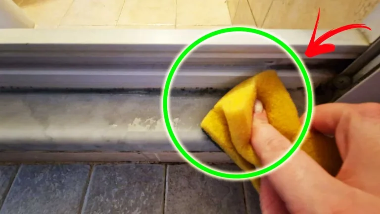 HOW TO MAKE THE MOLD THAT ACCUMULATES ON THE SHOWER SILICONE DISAPPEAR FOREVER