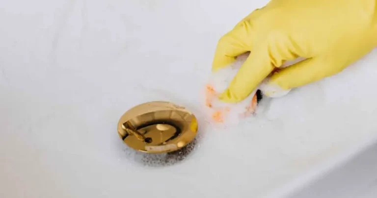 If Cockroaches Start Coming Out of Your Home’s Drains, Here’s What You Should Do Immediately