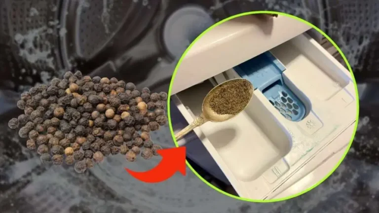 PEPPER IN THE WASHING MACHINE, IF YOU HAVE NEVER TRIED HERE’S WHY YOU SHOULD DO IT: SURPRISING