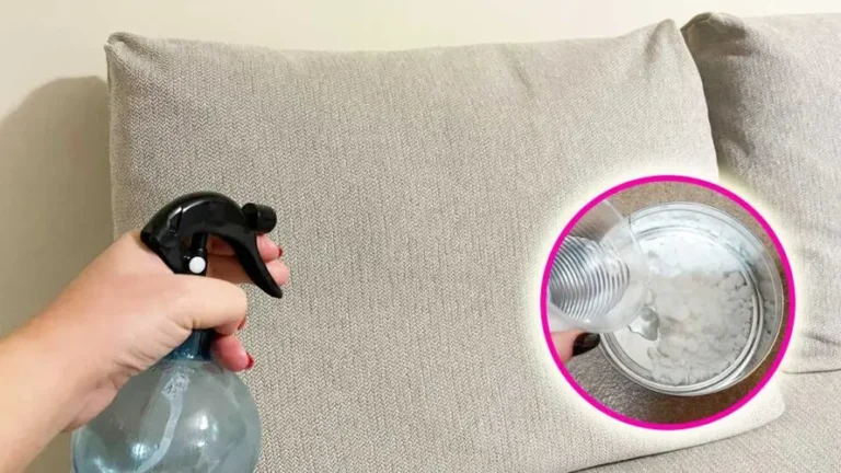 HOW TO REMOVE BAD ODORS FROM THE SOFA WITH DIY REMEDIES