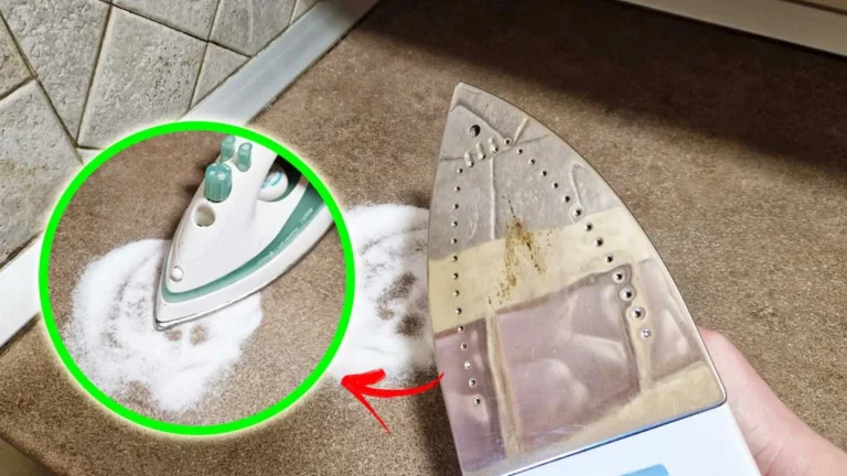 HOW TO CLEAN THE IRON WITH THE SALT TRICK