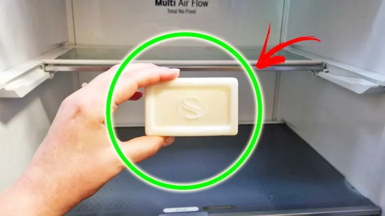HOW TO CLEAN THE FRIDGE FROM TOP TO BOTTOM WITH A BAR OF SOAP