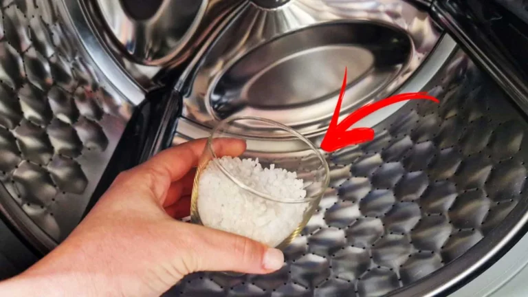 REMOVE ALL THE DIRT FROM THE WASHING MACHINE WITH JUST ONE GLASS OF THIS METHOD