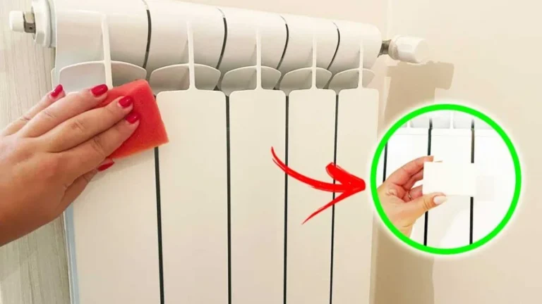 HOW TO CLEAN THE RADIATOR INSIDE AND OUT WITH MARSEILLE SOAP