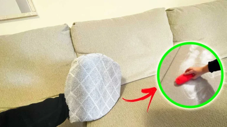 HOW TO CLEAN A NON-REMOVABLE SOFA WITH NATURAL REMEDIES